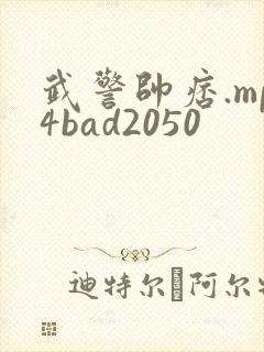 武警帅痞.mp4bad2050