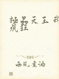 极品天王 我本疯狂