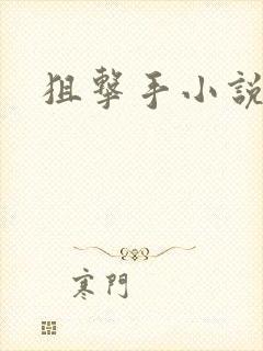 狙击手小说封面