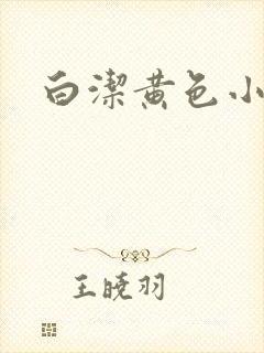 白洁黄色小说封面