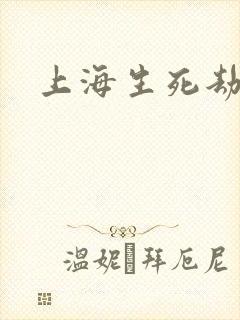 上海生死劫封面
