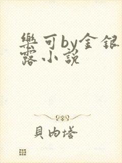 乐可by金银花露小说