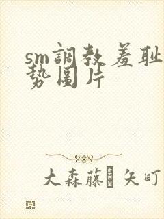 sm调教羞耻姿势图片