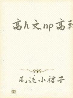 高h文np高干