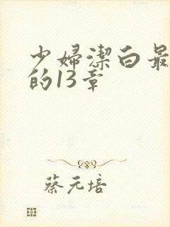 少妇洁白最刺激的13章封面