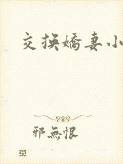 交换娇妻小说