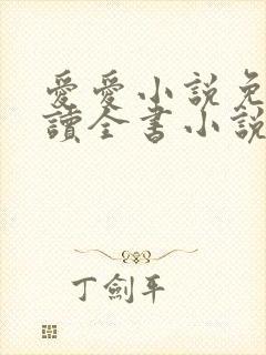 爱爱小说免费阅读全书小说乡村