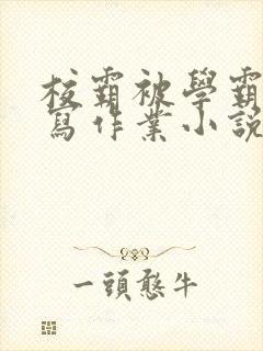 校霸被学霸压着写作业小说封面