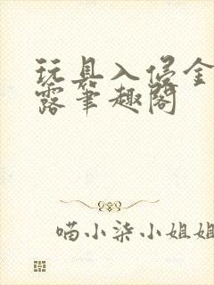 玩具入侵金银花露笔趣阁封面