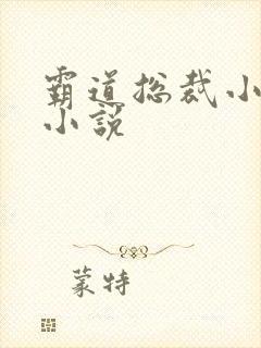 霸道总裁小娇妻小说封面