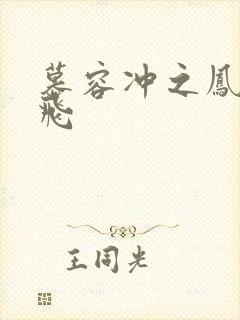 慕容冲之凤凰于飞封面