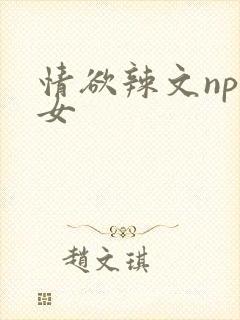 情欲辣文np父女封面