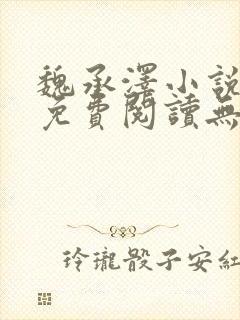 魏承泽小说全文免费阅读无弹窗笔趣