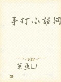 手打小说网