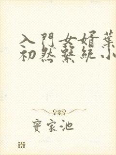 入门女婿叶辰萧初然系统小说封面