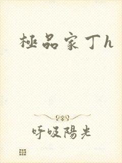极品家丁h