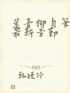 叶青柳月笔趣阁最新章节