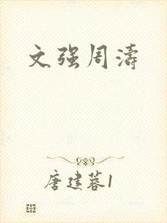 文强周涛