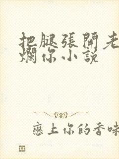 把腿张开老子臊烂你小说