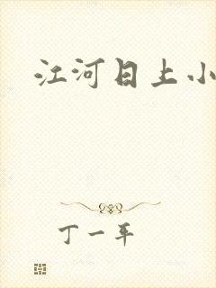 江河日上小说封面