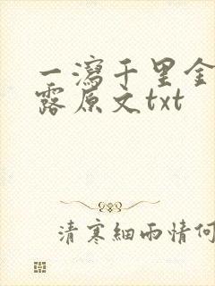 一泻千里金银花露原文txt