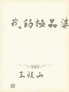 我的极品婆婆封面