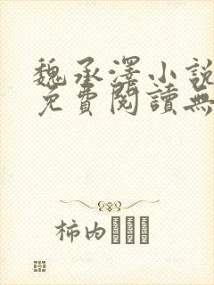 魏承泽小说全文免费阅读无弹窗笔趣