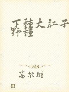 下种大肚子怀孕野种