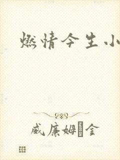 燃情今生小说