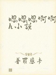 嗯嗯嗯啊啊啊高h小说