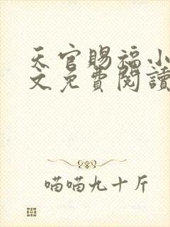 天官赐福小说全文免费阅读未删减无弹窗txt