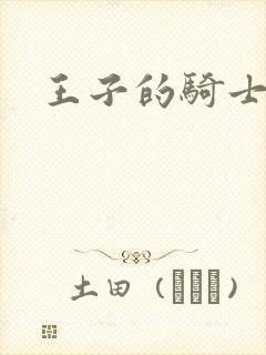王子的骑士封面