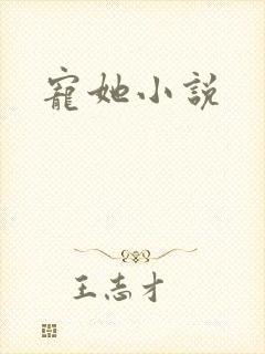 宠她小说