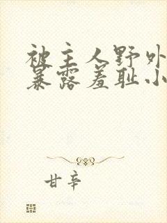 被主人野外调教暴露羞耻小说