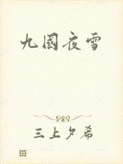 九国夜雪