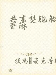 共享双胞胎齐娜齐琳封面