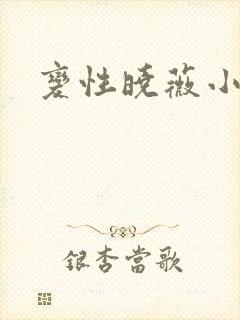 变性晓薇小说封面