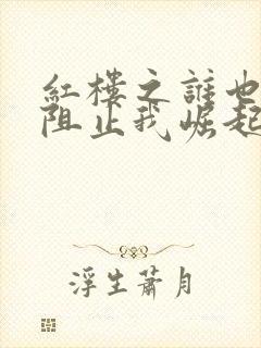 红楼之谁也不能阻止我崛起笔趣阁