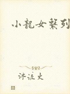 小龙女系列小说
