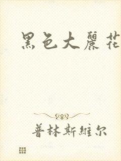 黑色大丽花图片