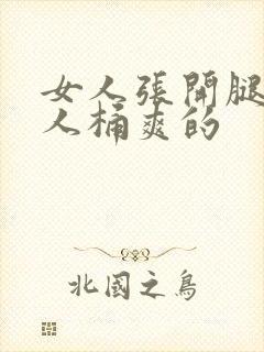 女人张开腿让男人桶爽的