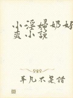 小淫妇奶好大好爽小说封面