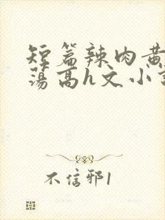 短篇辣肉黄辣放荡高h文小说