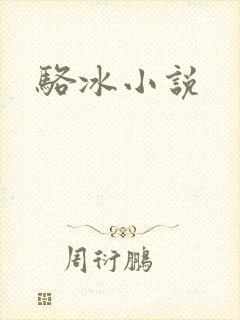 骆冰小说