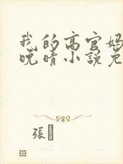 我的高官妈妈苏晚晴小说免费阅读