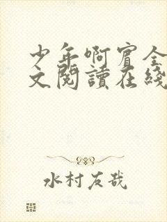 少年啊宾全文全文阅读在线阅读全文