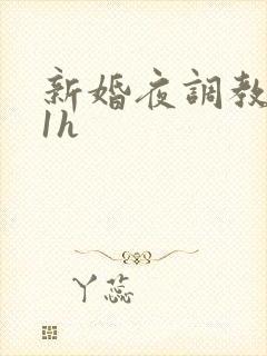 新婚夜调教1v1h