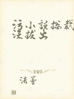 污小说总裁整夜没拔出