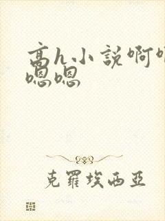 高h小说啊啊啊嗯嗯