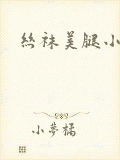 丝袜美腿小说封面